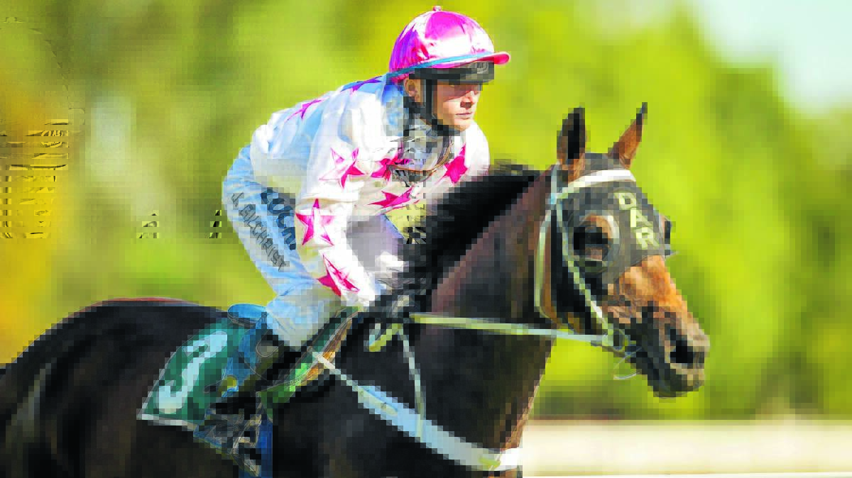 DAR Lunn has been in racing for a long time but got one of his biggest thrills on Saturday when Leaders Road was successful in the Cressfield Benchmark 75 Handicap (2200m) on Scone’s standalone Saturday program.
  