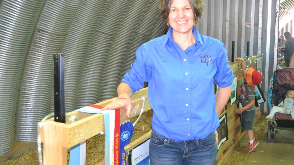 o Erika Chesworth with the Sydney Royal Easter Show ribbons.			              Photo: LAURA McINTYRE  