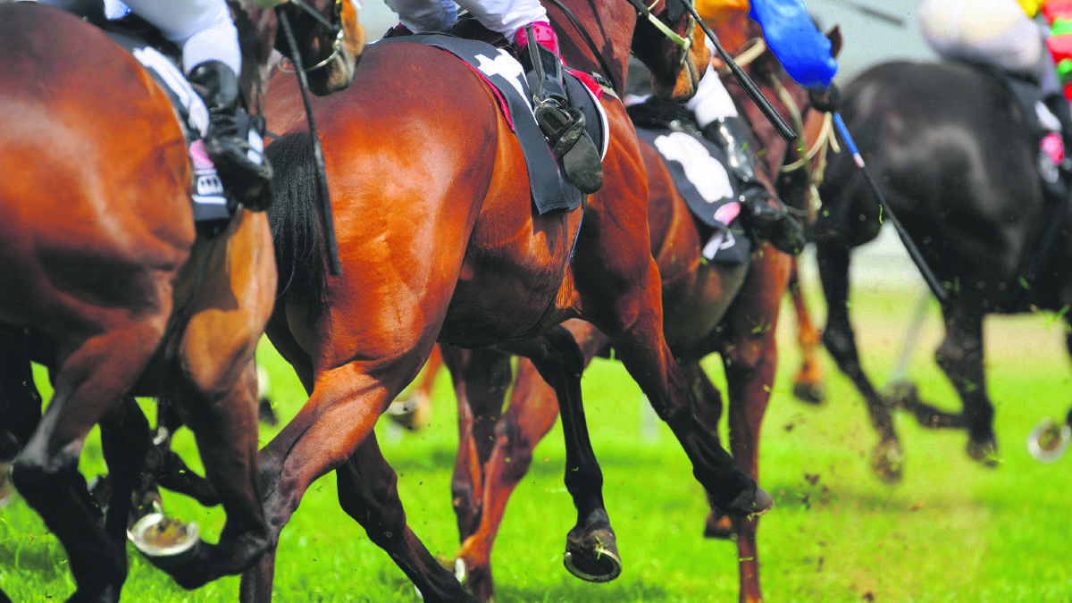 LOCAL horse racing could be set to profit from a decrease of betting taxes in NSW, according to Dubbo Turf Club president Michael Edwards.
  