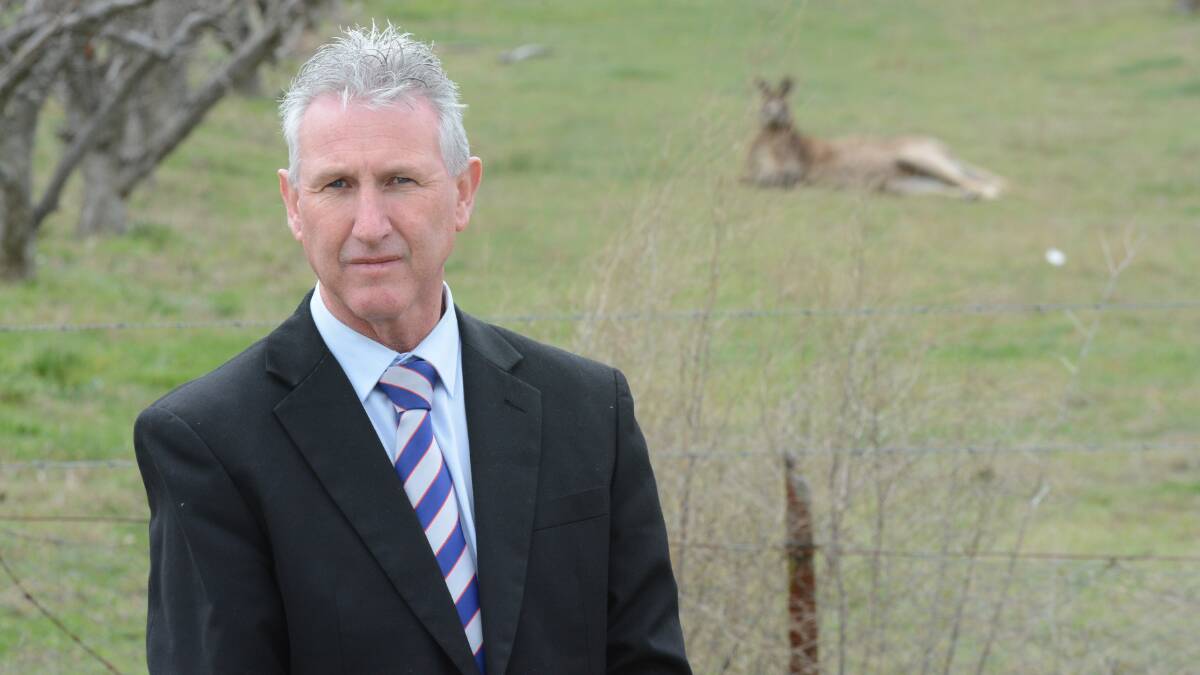 KANGAROO CONCERN: Bathurst Harness Racing Club chief executive officer Danny Dwyer says the club has yet to decide on a course of action to deal with its ’roo problem. Photo: PHILL MURRAY 	090815pdanny