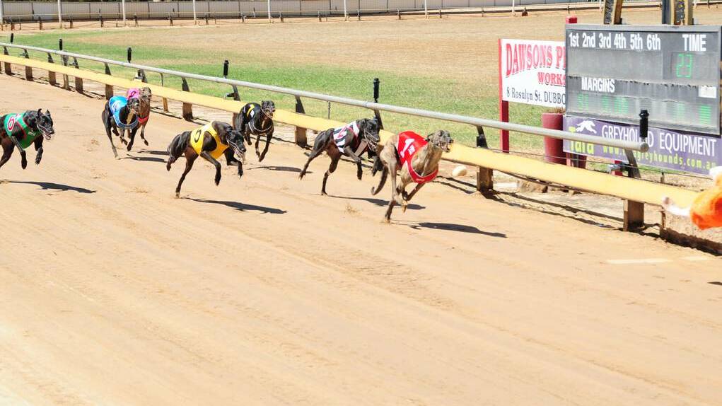 Kaiser King (red rug) powers towards the finish line during yesterday's Bet To Win Stakes (400m). Photos: HANNAH SOOLE