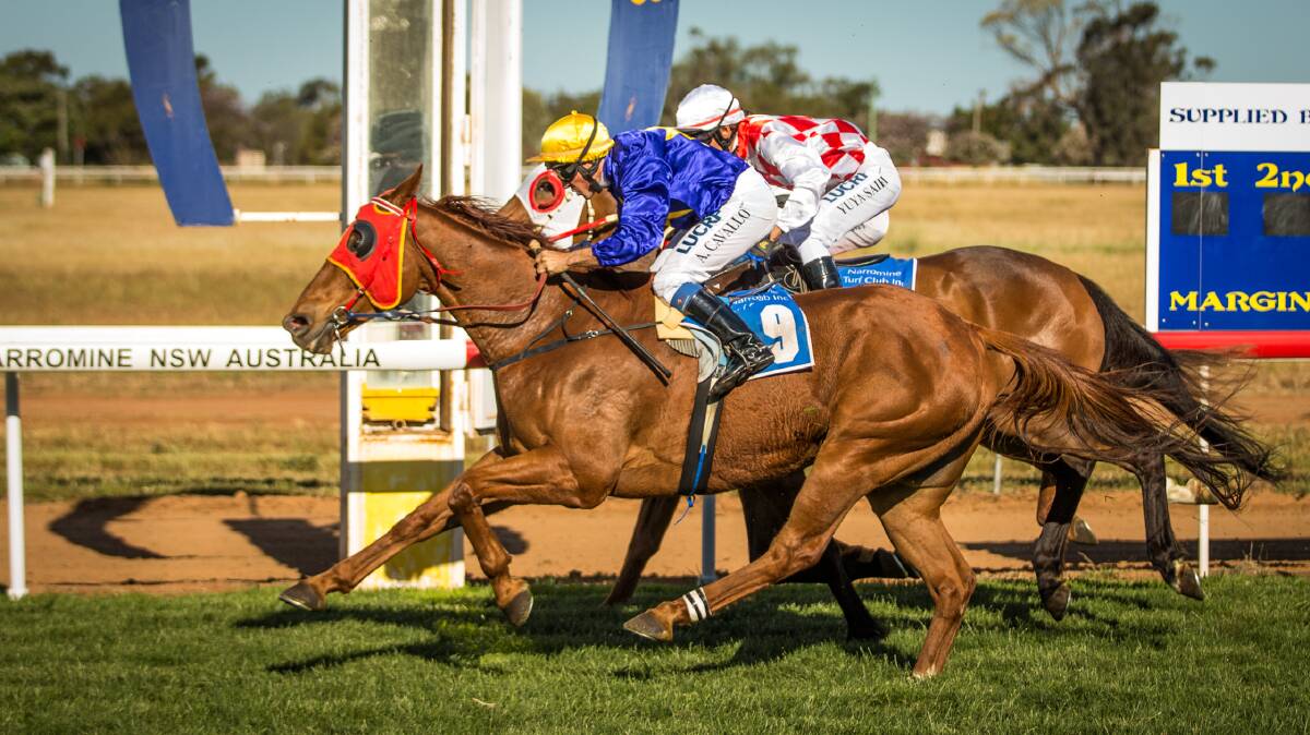 Foreign News (outside) just nabs Superbad to win the Dandy Cup (1300m) at Narromine on Saturday. 																     Photo: JANIAN McMILLAN (www.racingphotography.com.au)