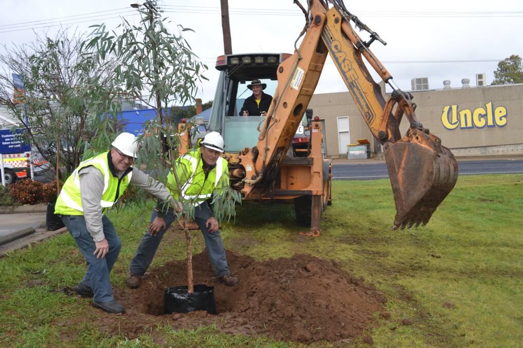 Dubbo City Council team leader natural resources Des Mackey, arborist Gordon Cowen and contractor Frank Gray planting one of the new trees. Photo: ORLANDER RUMING