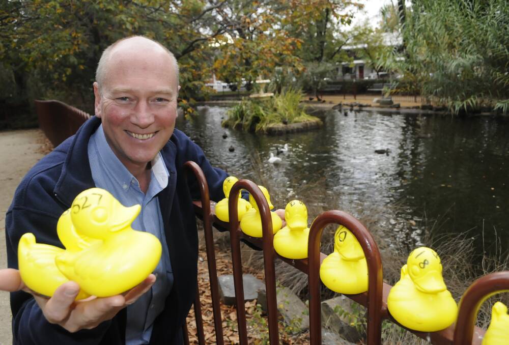 YELLOW FEVER: Duck race co-ordinator David Weekes from the Rotary Club of Bathurst is looking forward to the event's return to Proclamation Day activities beside the Macquarie River tomorrow. Photo: CHRIS SEABROOK	 050216cducks1a