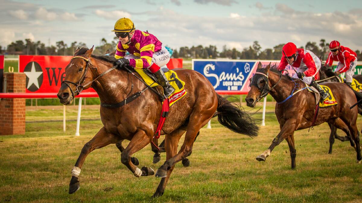 Conroy's Gap goes past the post to win the Macquarie Sprint at Dubbo racecourse on Monday. Photo: JANIAN McMILLIAN (racingphotography.com.au)