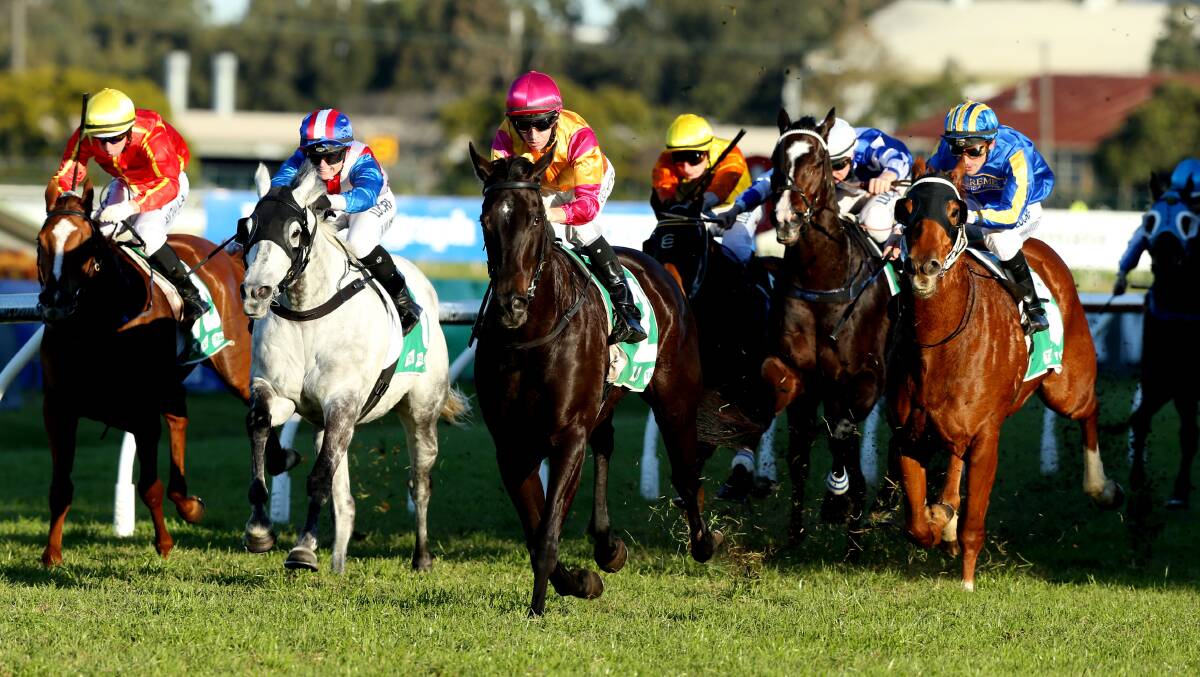 Shiraz (yellow and pink colours) puts his rivals away to win at Rosehill on Saturday. 	Photo: ANTHONY JOHNSON