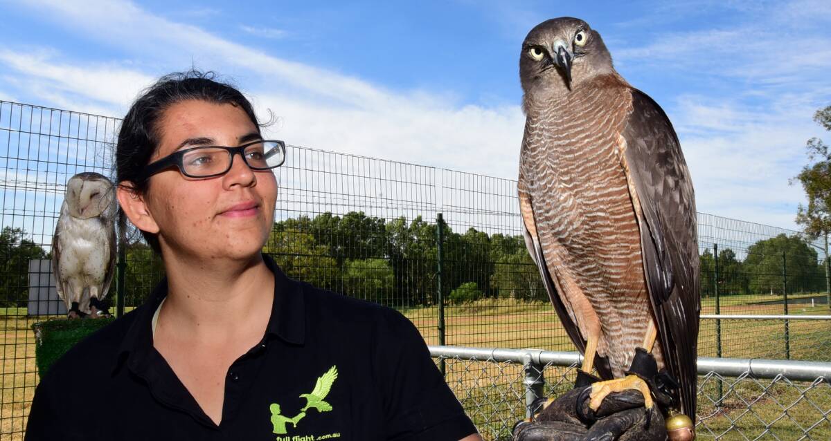 PEST CONTROL: Full Flight Birds of Prey raptor trainer Amber Michalak during her visit with Tilley the brown goshawk, while Lucy the barn owl watches on. Photo: Belinda Soole