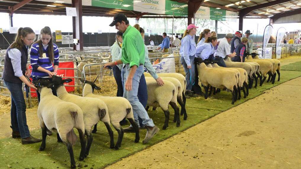 What’s on at the Dubbo Show?