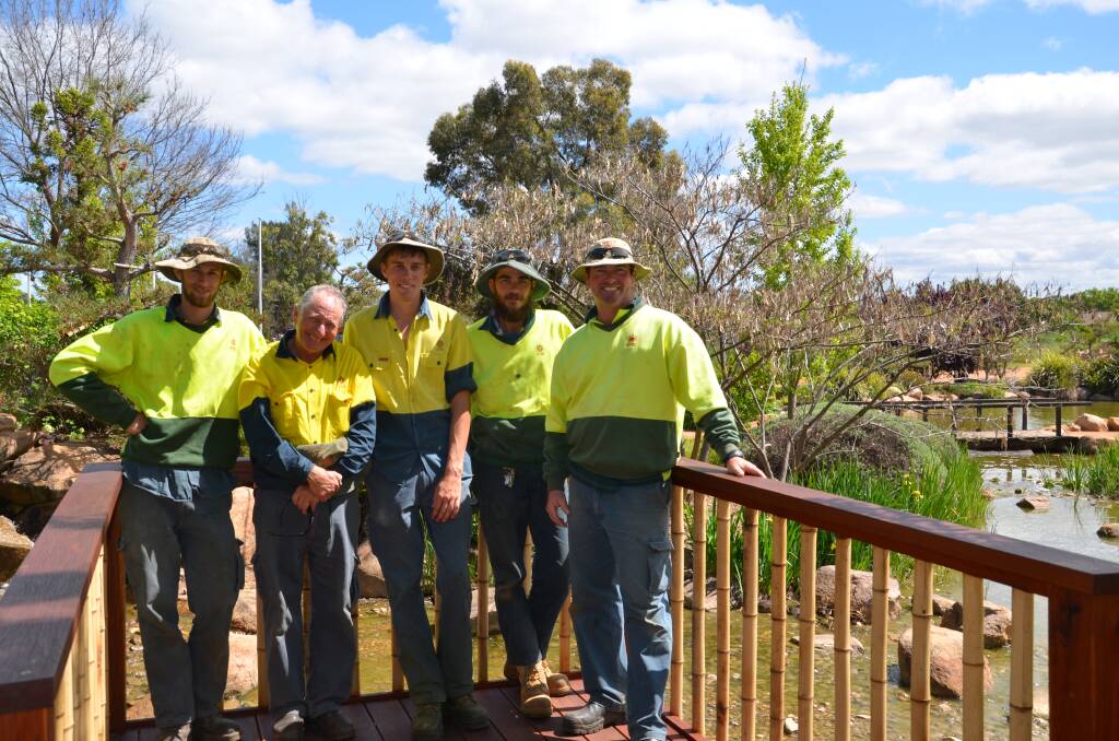 WHAT A VIEW: Dubbo Regional Council's Daniel Munroe, Ron Watson, Mitchell Parker, Josh South and Glen Shields on the new viewing platform at the Japanese Gardens. Photo: ORLANDER RUMING