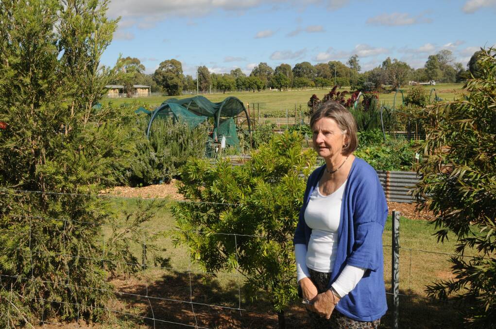 AUTUMN DISPLAY: Can Assist secretary Prue Thompson looking over the OEC Community Garden which will be open on Sunday. Photo: ORLANDER RUMING