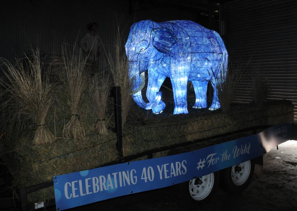The elephant lantern will be joined by a few other surprise animals on Saturday night. Photo: ORLANDER RUMING