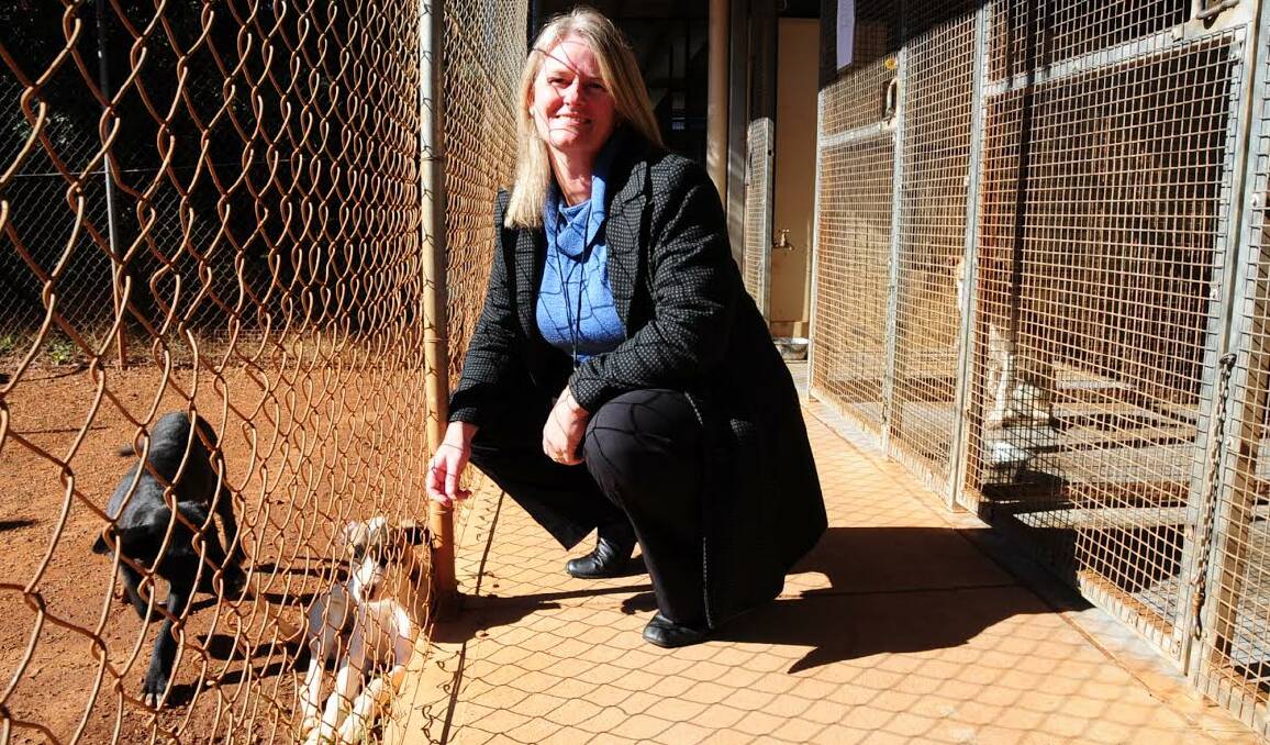 DUBBO CITY ANIMAL SHELTER: Debbie Archer with a couple of furry friends from the sanctuary.