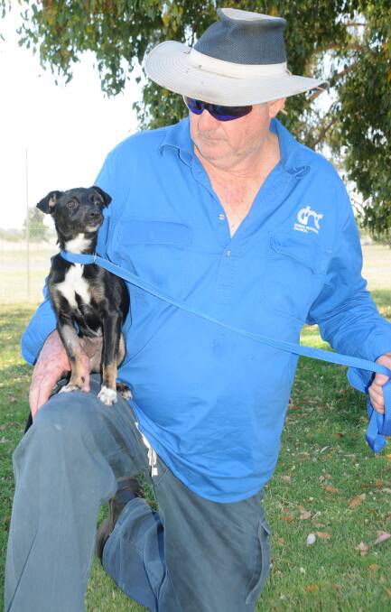 PETS ARE NOT PRESENTS: Graeme Henry from the Dubbo City Animal Shelter with puppy Suzie who is currently in his care. Photo: ORLANDER RUMING