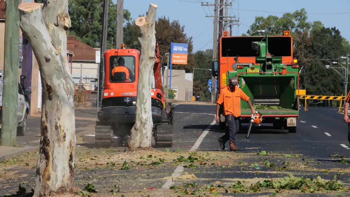 Trees get the chop for road addition
