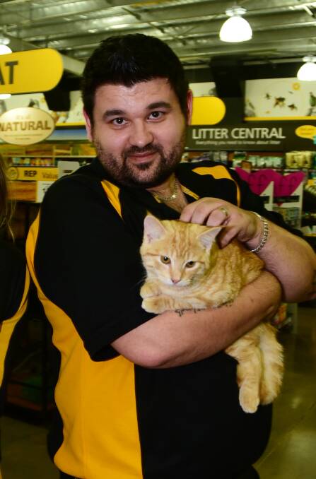 Thomas Adams says World Cat Day is the perfect time to adopted a new pet.
