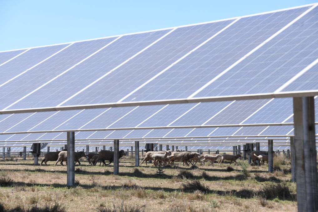 One of the other solar farms already in operation in the region. Picture by Amy McIntyre