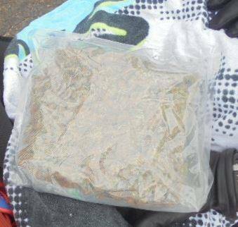 DRUGS FOUND: Mudgee Police found 488 grams of cannabis in a Dubbo woman's car earlier in the week. Photo: MUDGEE LAC