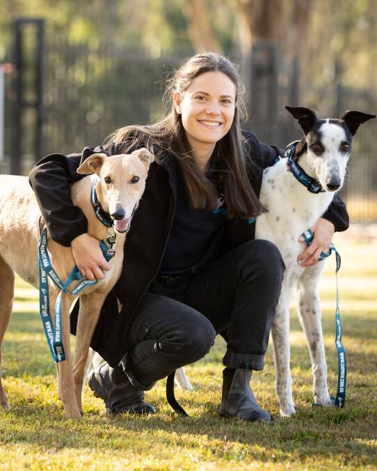 Lowe Wines is hosting a greyhound adoption day on January 27.