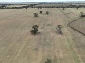Clairdon is a productive 547 hectare mixed farming operation located in the sought after Collie district of NSW. Picture supplied