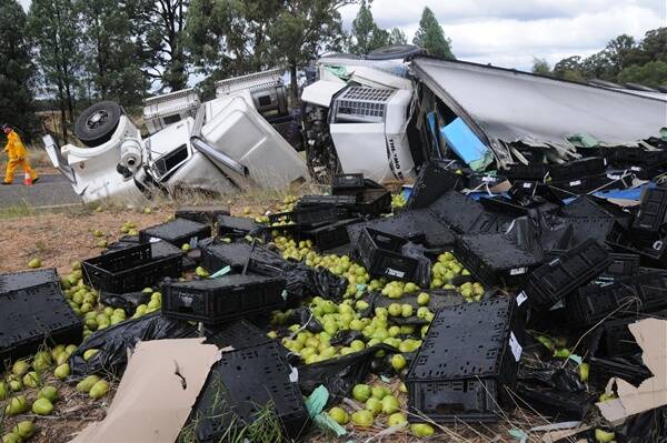 A truck carrying pears and apples rolled along the Mogriguy Road yesterday. The driver sustained minor injuries.  Photo: BELINDA SOOLE