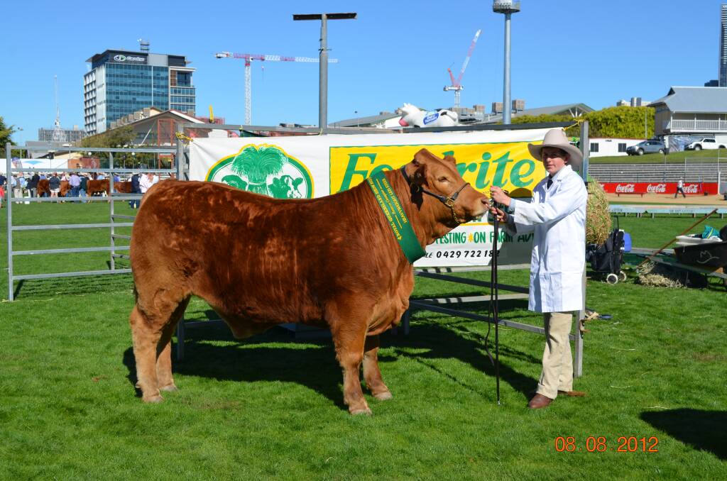 Year 10 student Brad Taylor with the school’s entry as judged the reserve champion heavyweight led steer.  	Photos courtesy St Johns College