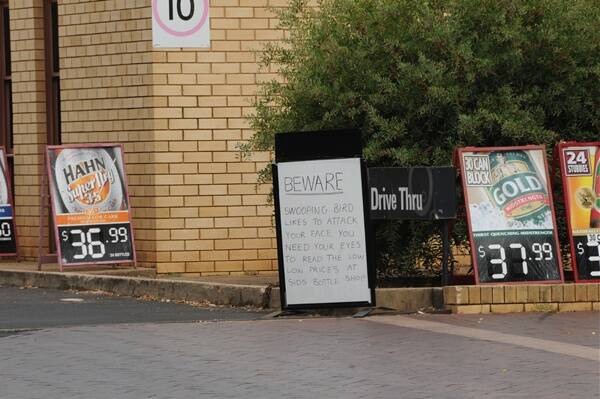 Sid’s Bottle Shop have taken it upon themselves to warn patrons of the pecking peewee.     Photo: BELINDA SOOLE