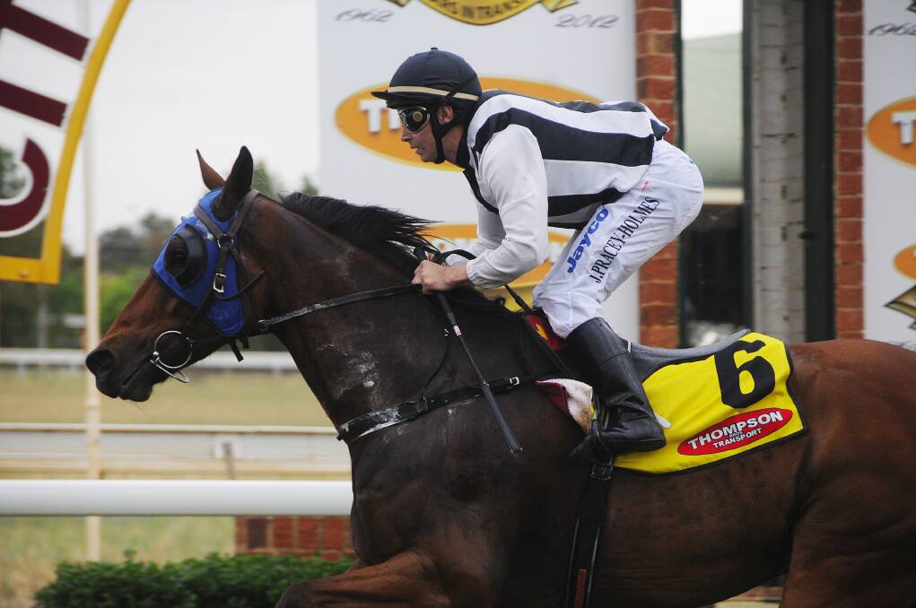 Jake Pracey-Holmes on the Russell Smith-trained Taupo, winner of the Mailbox Shopper Maiden Plate at yesterday s Melbourne Cup day at the Dubbo Turf Club 
Photo:  
BELINDA SOOLE