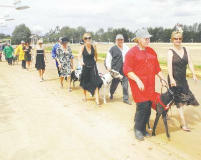 DERBY DAY AT THE DOGS: The Fashions in the Field contestants escort the City Limousines Dash finalists to the boxes at Dawson Park.