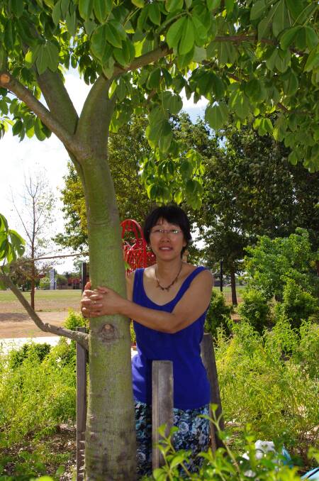 Visitor Keiko McLennan embraces the spirit of the Silk Floss Tree in the Sensory Garden. 
Photo contributed