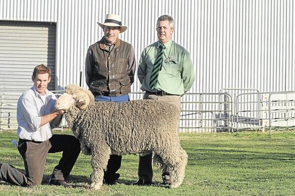 Matthew Coddington, principal Roseville Park Merino Stud, Dubbo, Richard Wuth, Toowoomba who bought the ram on behalf of The Grant family Collarenabri and David Hart Landmark wool manager pictured with the $16,000 ram.