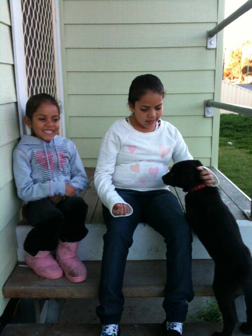 The family of the dog shot by a council ranger say they are devastated by the loss of their family pet, Ninja.