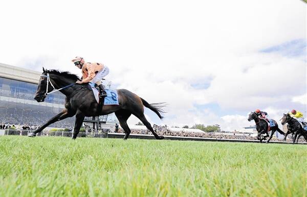 Black Caviar streets her rivals in the C.F Orr Stakes last Saturday.   Photo: GETTY IMAGES