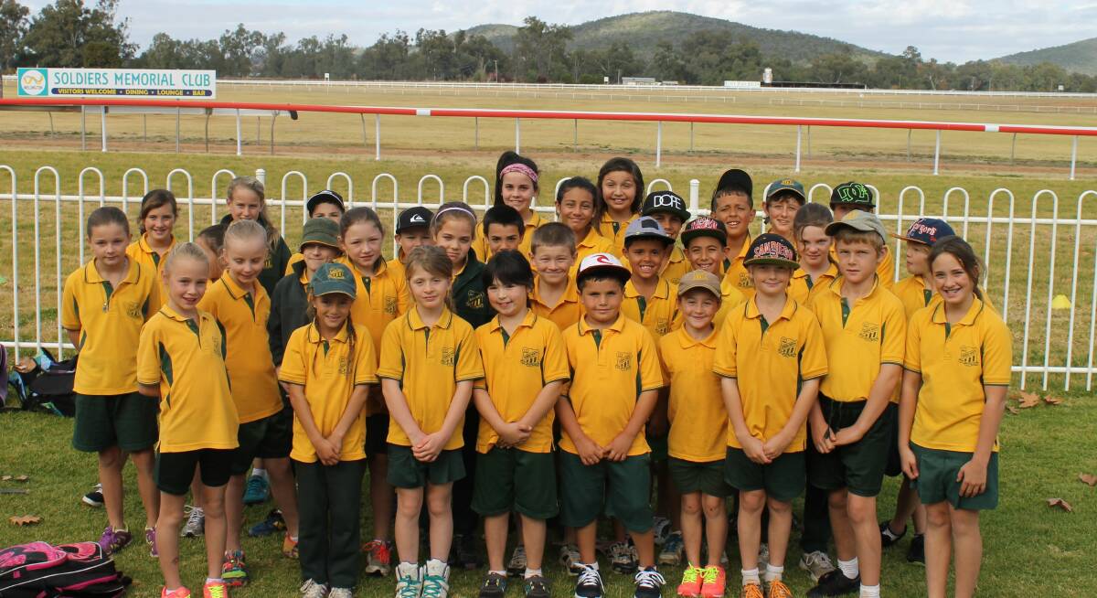The DNPS Cross Country team at the District carnival.