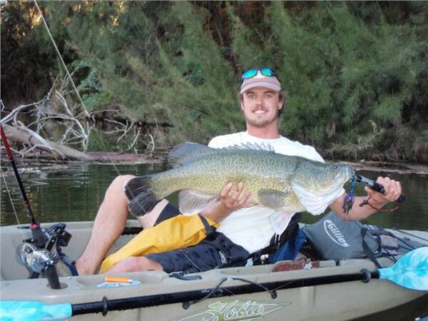 Ben Moesly with a massive Macquarie River Murray cod caught on an AusSpin Cod Botheror.