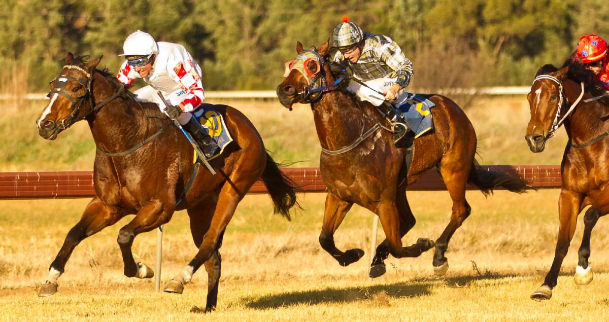 Dodge Tide will be part of a two-pronged attack Narromine trainer Lindsey Kennedy takes to Gilgandra today.  
Photo: JANIAN McMILLAN (www.racingphotography.com.au)