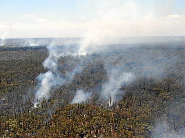 In the summer of 2007 the Goonoo forest was engulfed in flames. FILE PHOTO