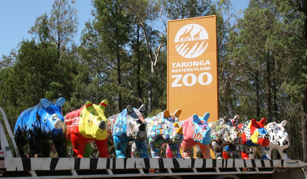 Ready for Sydney: Decorated Wild! Rhinos produced by nine schools in the central west. 			    				Photo CONTRIBUTED