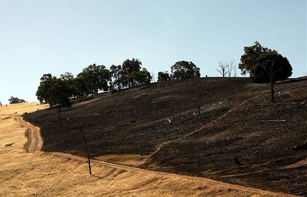 Dry vegetation across the region poses a fire danger if it does not rain soon.                    Photo: GETTY IMAGES