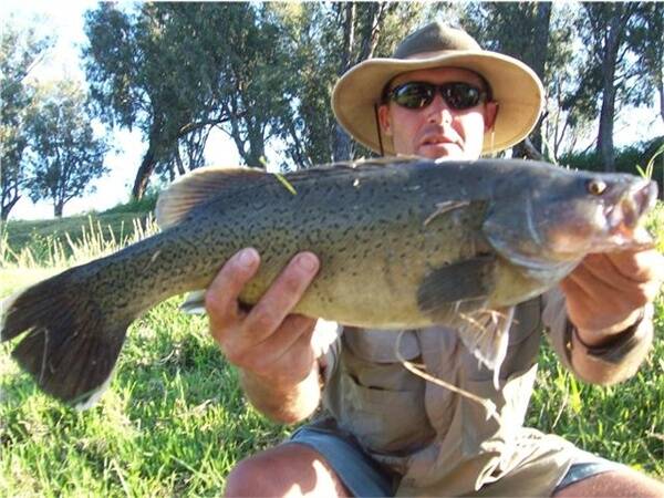 Gordan Cowan with a thumping trout cod caught on a white spinnerbait close to Dubbo.