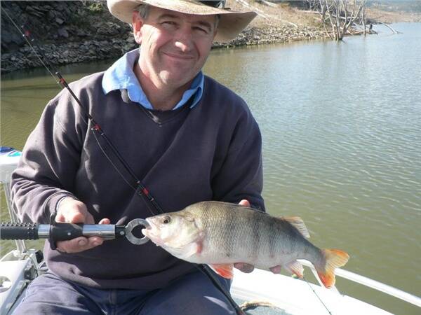 Nick Powell with a Burrendong caught English perch (redfin).