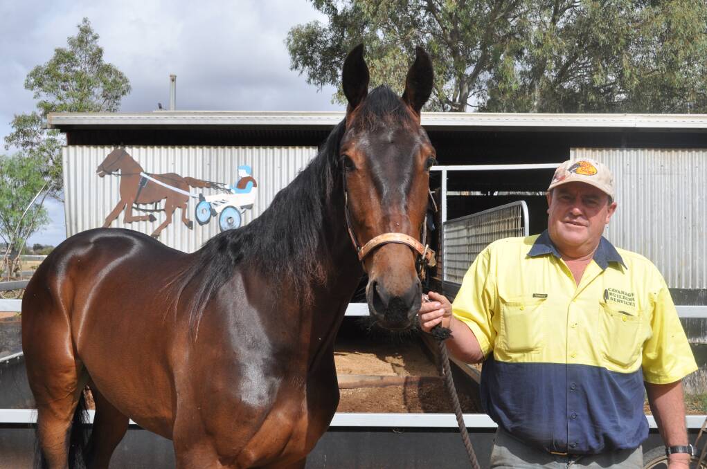 Part-owner Mal Cavanagh with his namesake Jogalong Cav at trainer Mick Lew's stables. 	Photo: BEN WALKER