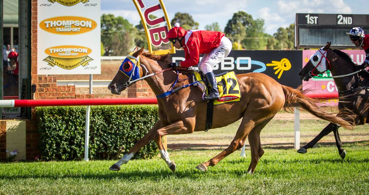 Sutton Power winning at Dubbo last month. The mare returns tomorrow chasing another win for the Luke Griffith-Greg Ryan combination.  
Photo: JANIAN McMILLAN (www.racingphotography.com.au)