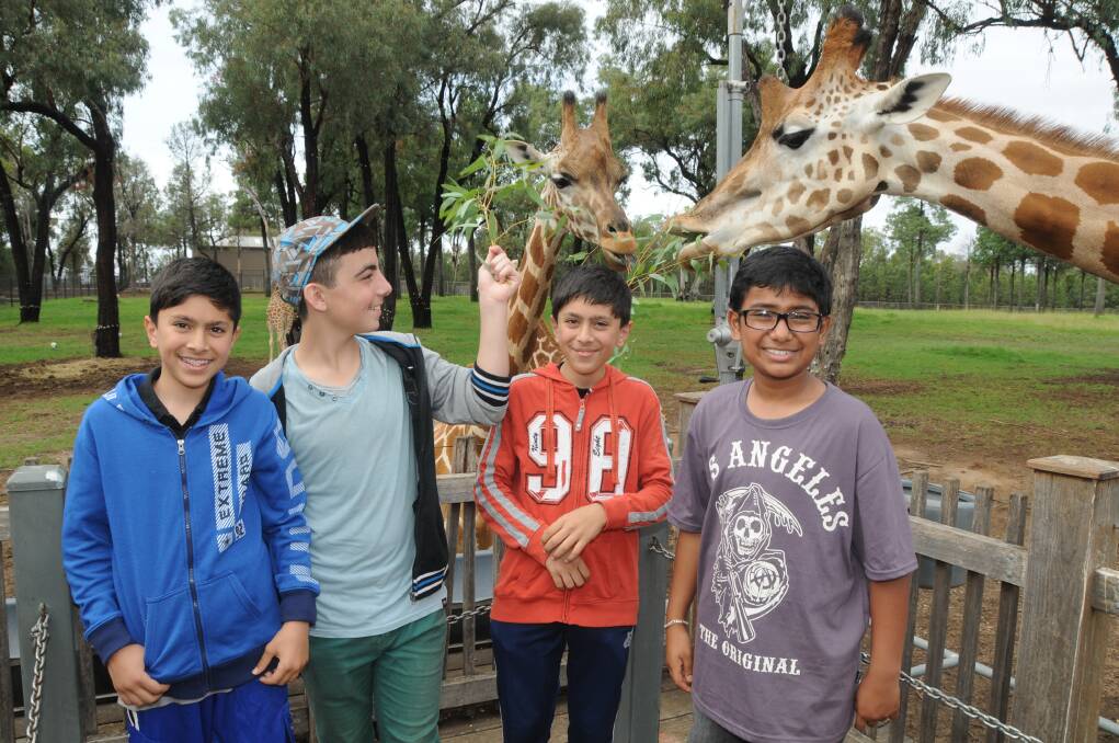 Hamzah Sweisah, Joseph Charrouf, Omar Sweisah and Hans Vikash travelled from Sydney to participate in Taronga Western Plains Zoo s Endanger Ranger program. The success of the program will see it extended to include inner Sydney schools, as well as those from Western Sydney. 		     Photo: AMY MCINTYRE
