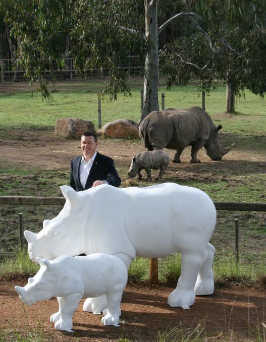 Taronga Western Plains Zoo general manager, Matt Fuller with the Wild! Rhino suclptures ready for artistic input.	Photo contributed