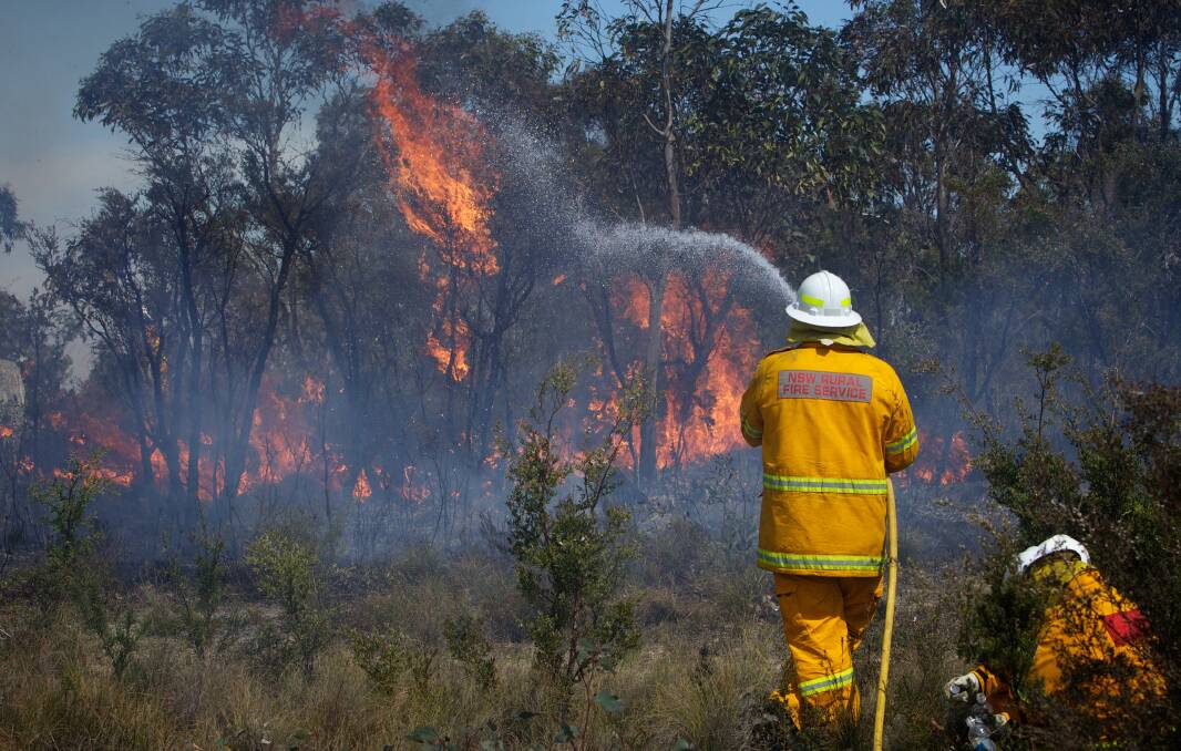 NSW RFS Crews continue to fight the State Mine fire on the Darling Causeway near Bell as they back burn onto the fire front. Photo: WOLTER PEETERS