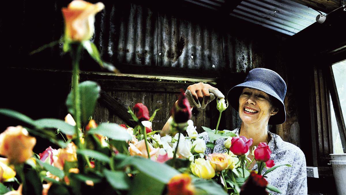 MAITLAND: Gwyneth Harbrow from The Rose Farm at Lorn.