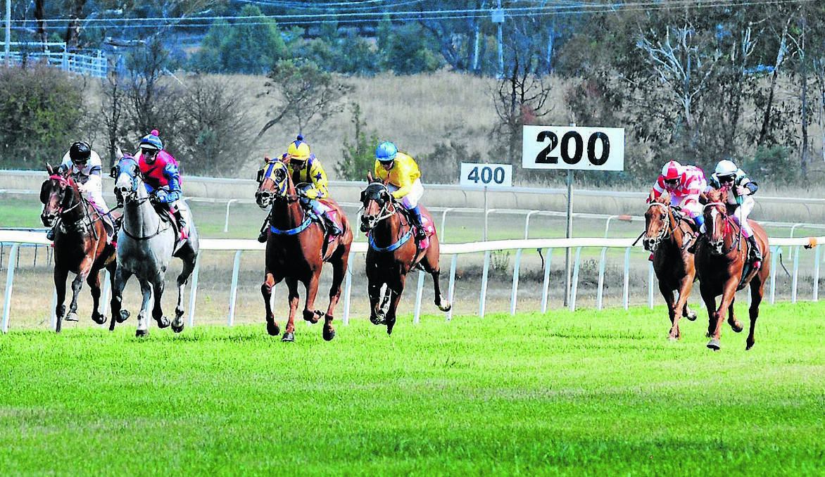 ORANGE:It's not quite Royal Randwick, nor was the atmosphere the same as that of Black Caviar’s final race.  But for Forbes trainer Lex Crosby, watching Red Letters storm home to win the $4000 Orange Picnic Cup (1300 metres), on a stifling Saturday afternoon at Towac Park was just as good.