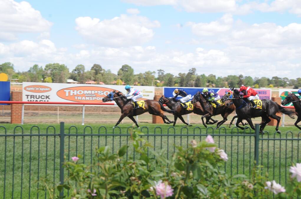 Daily Liberal photographer KATHRYN O'SULLIVAN captures the moment Always Rose runs past the roses lining the fence at Dubbo Turf Club on her way to victory yesterday. 