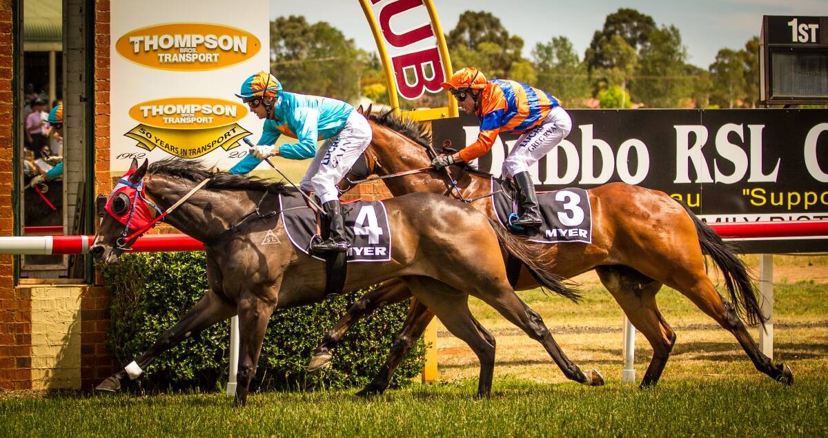 Adam Gain sits up on Sharky, which he rode to victory for Dubbo trainer Mick Lunn in the South Dubbo Tavern Maiden Plate. Finishing second was Southern Master (Greg Ryan). 