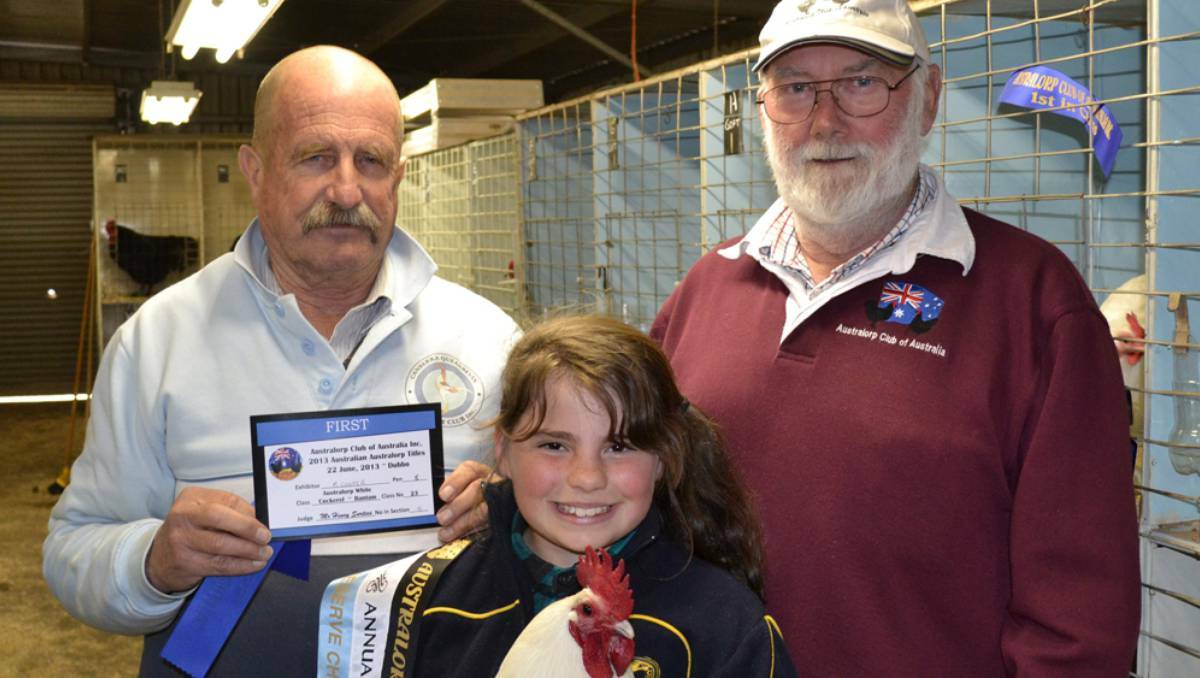 CANOWINDRA: Madeline Cooper, with her national reserve champion white Australorp, "The Colonel", is presented a ribbon by Peter D'Arcy, Australorp Club of Australia Inc president (left) and Peter Blake, show coordinator (right). Photo: Charlotte Cooper.